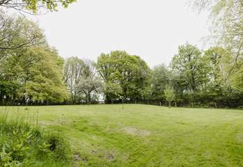 The pretty orchard.