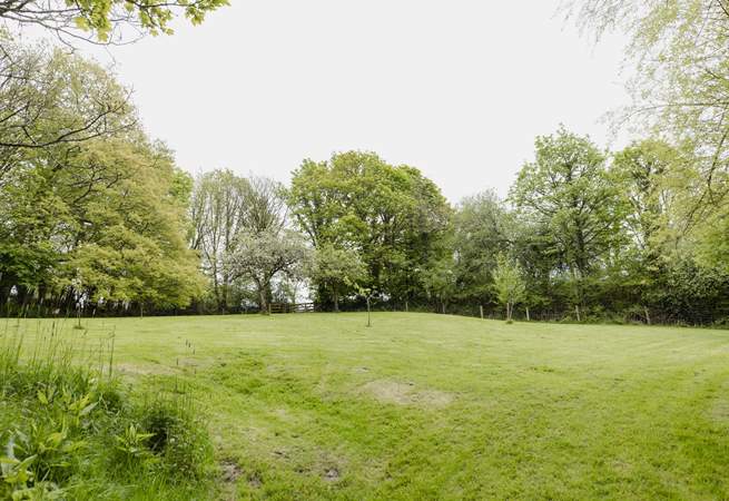 The pretty orchard.