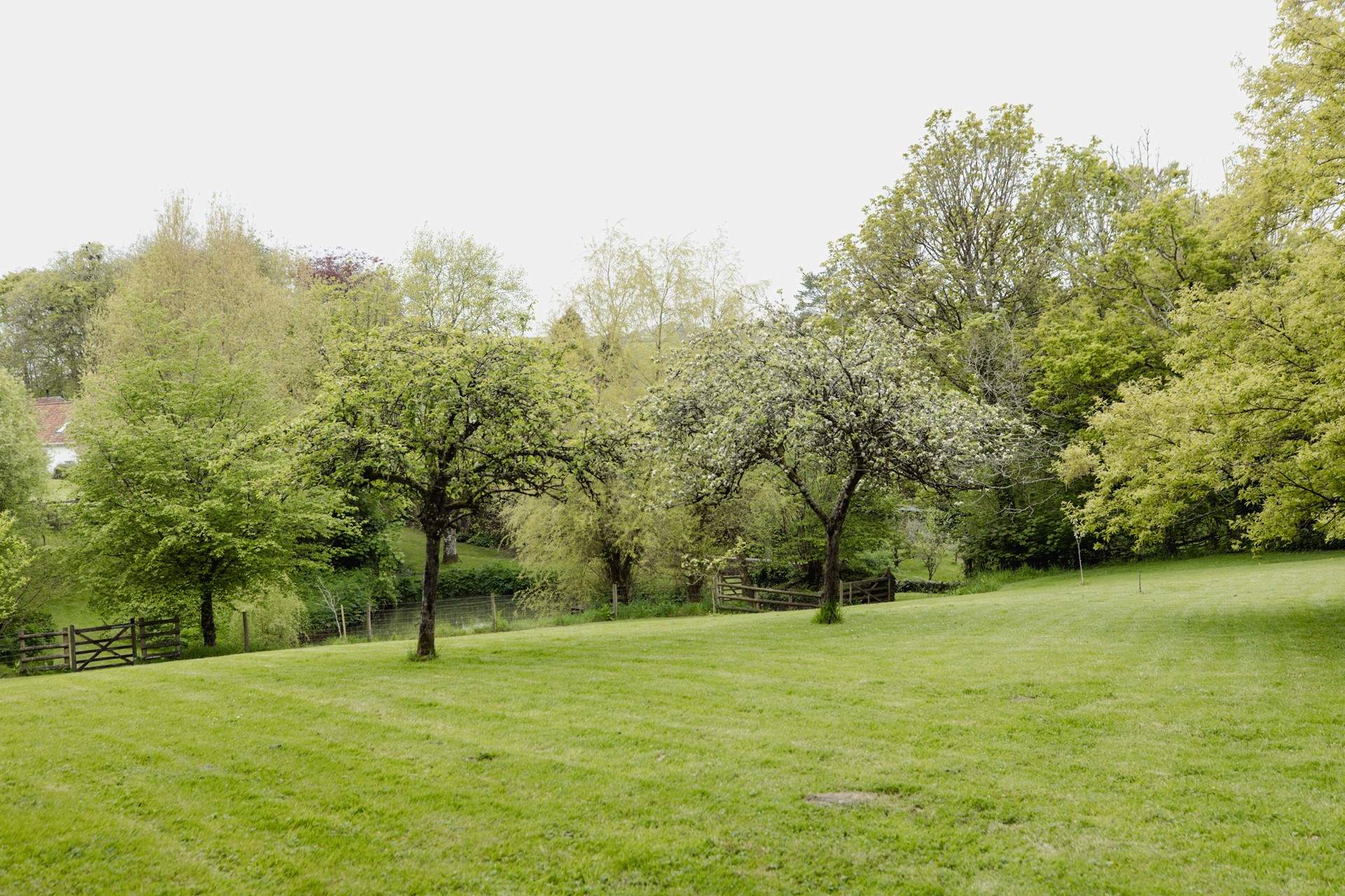Head to the pretty Orchard 50 meters from the house and enjoy a morning treat with your dog.