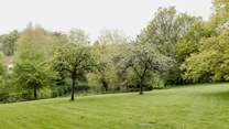 Head to the pretty Orchard 50 meters from the house and enjoy a morning treat with your dog.