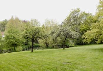 Head to the pretty Orchard 50 meters from the house and enjoy a morning treat with your dog.