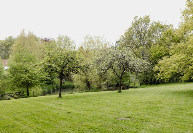 Head to the pretty Orchard 50 meters from the house and enjoy a morning treat with your dog.