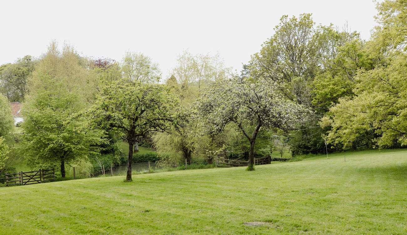 Head to the pretty Orchard 50 meters from the house and enjoy a morning treat with your dog.