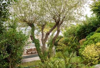 The tiered garden at No 2 Water Lane is very established with trees and shrubs. 