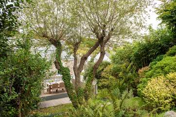 The tiered garden at No 2 Water Lane is very established with trees and shrubs.