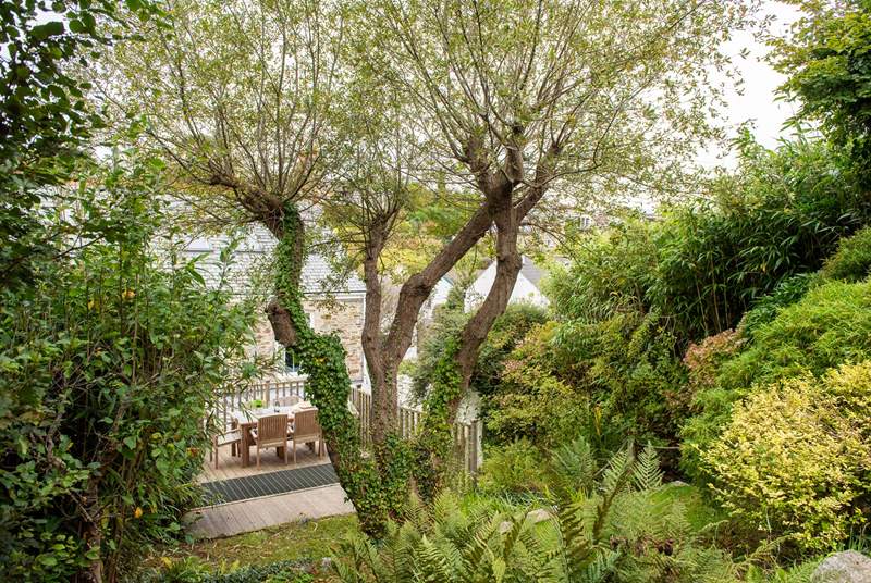 The tiered garden at No 2 Water Lane is very established with trees and shrubs. 