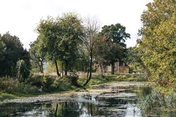 The serene carp pond is pure tranquility.