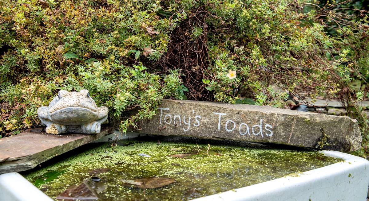 For those nature lovers there is a small pond area to the side of the house, please supervise children. 