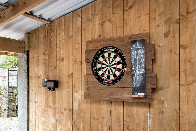 On a rainy day the dart board in the car port will be a great option!