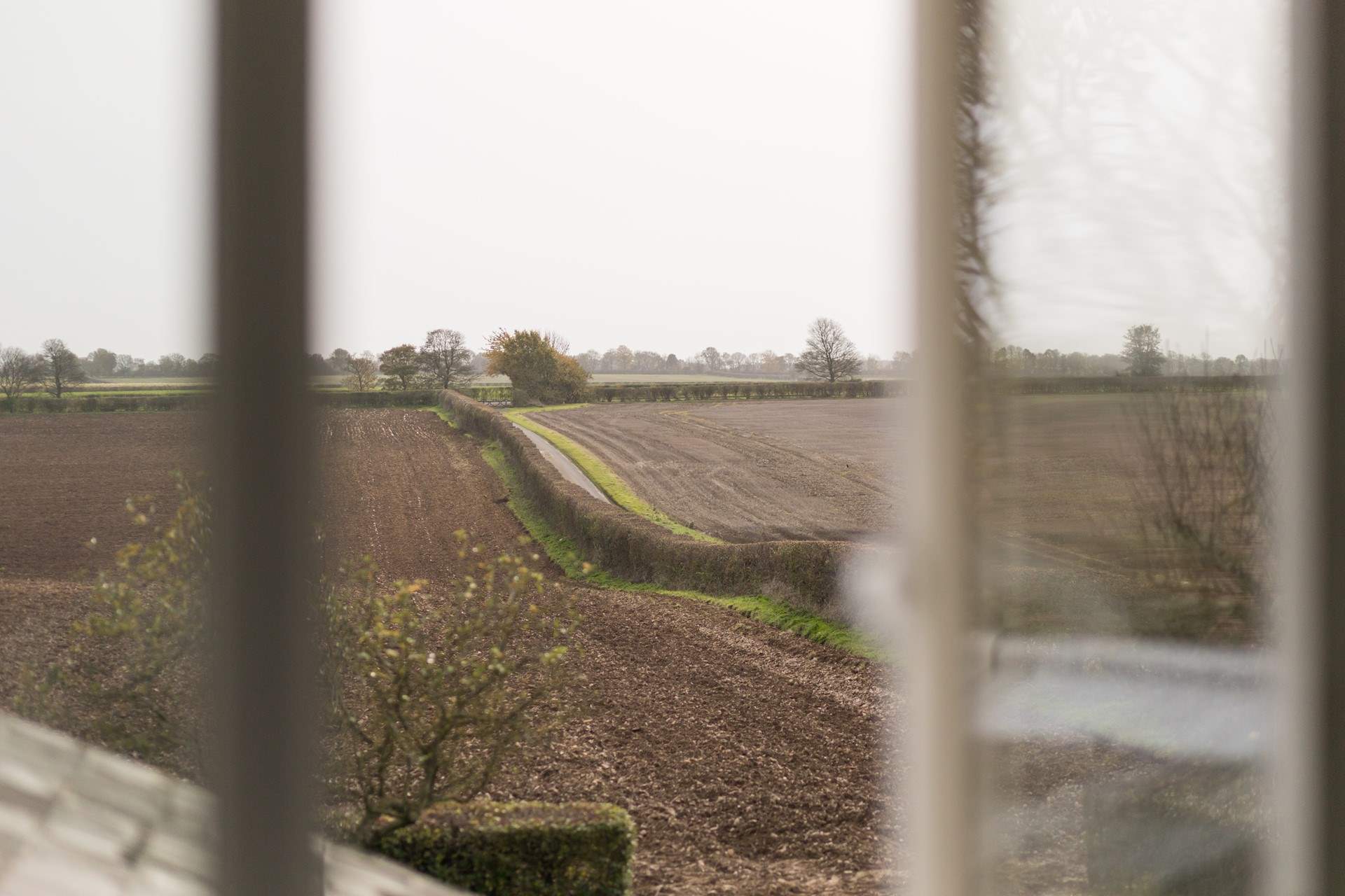 A true working farm.