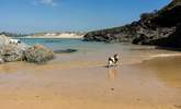 Crantock beach is a wonderful place to take your four legged friend for a walk. - Thumbnail Image