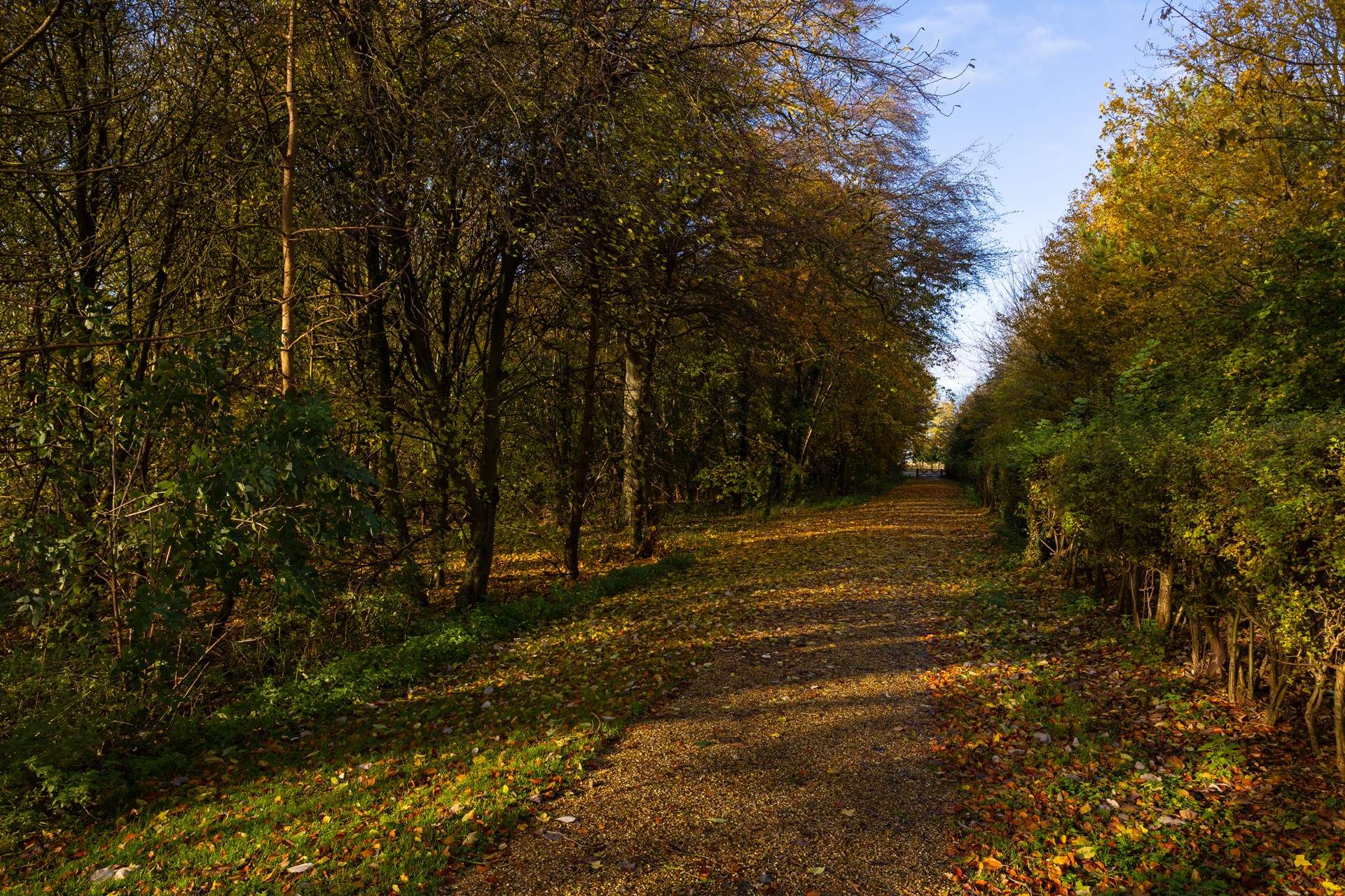 Take a stroll through the countryside.
