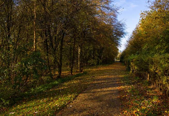 Take a stroll through the countryside.