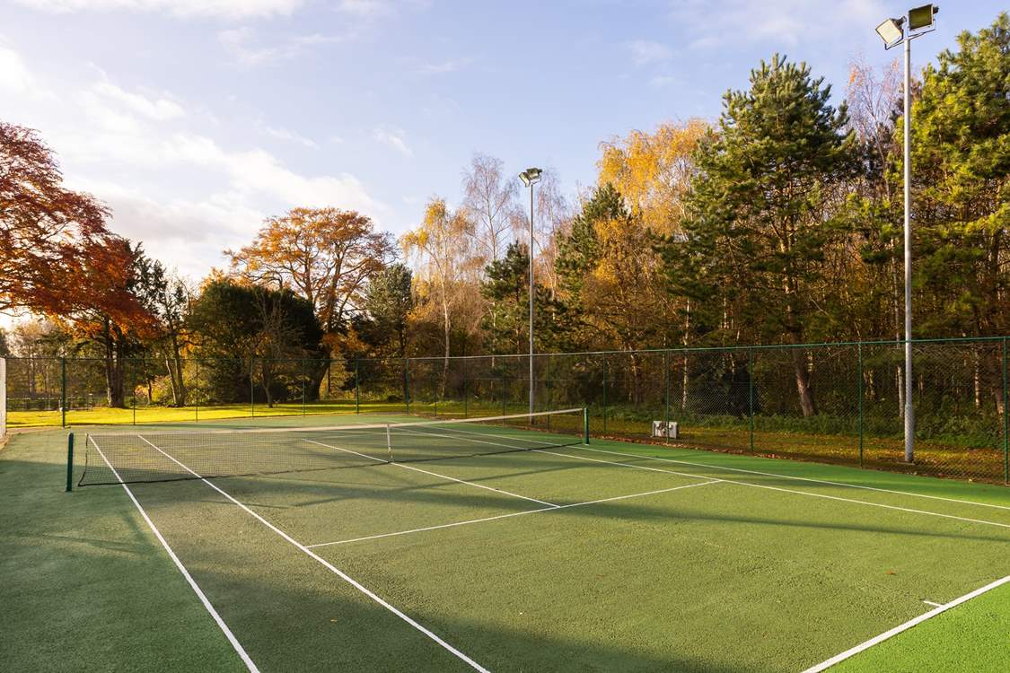 Anyone for tennis?