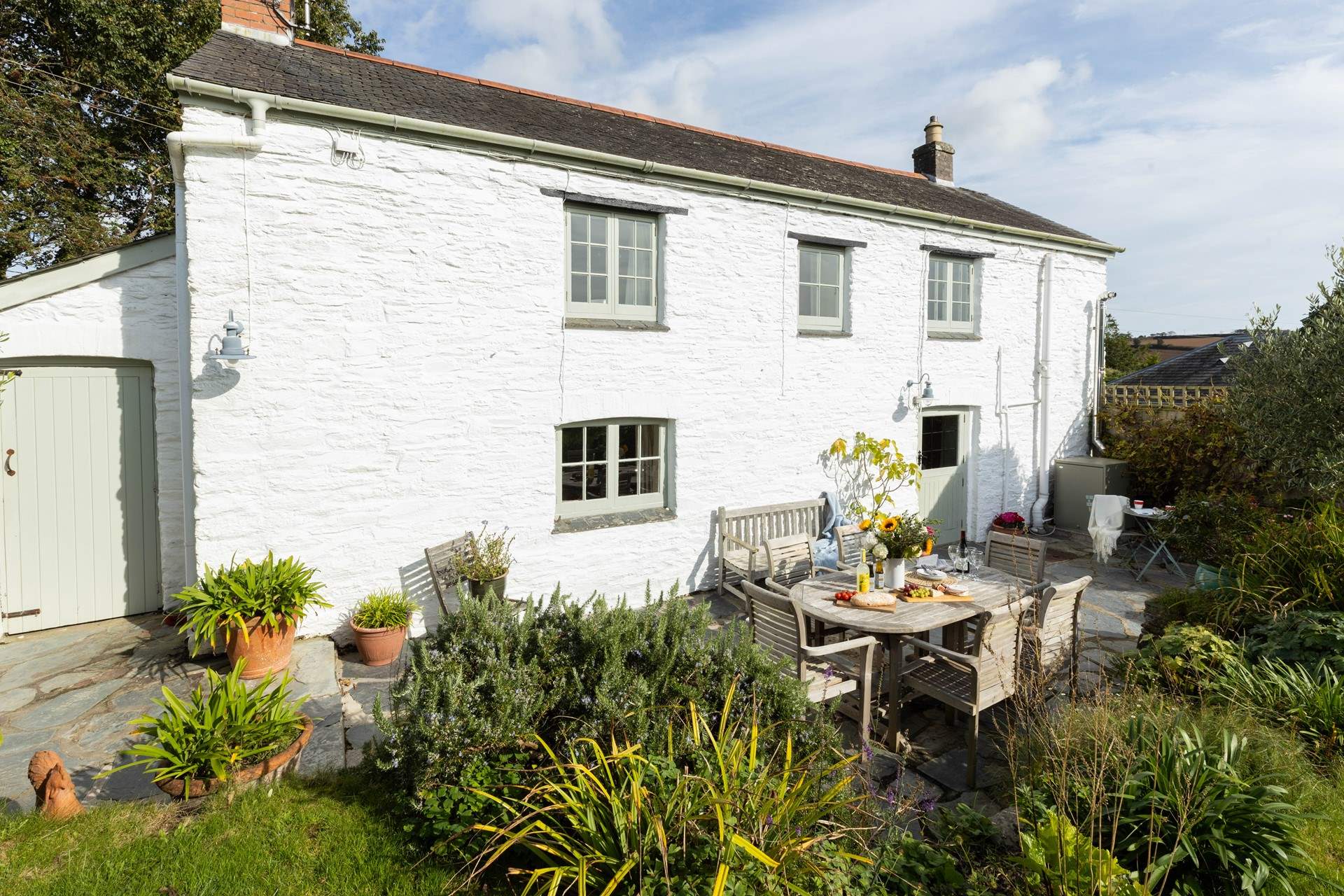 Toadstools, looking down from the side of the garden. 