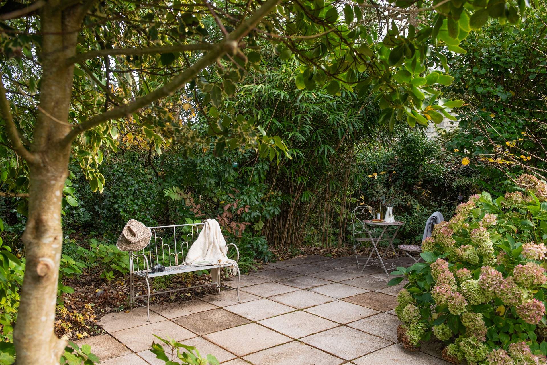 Take a seat and relax amongst the flora. 