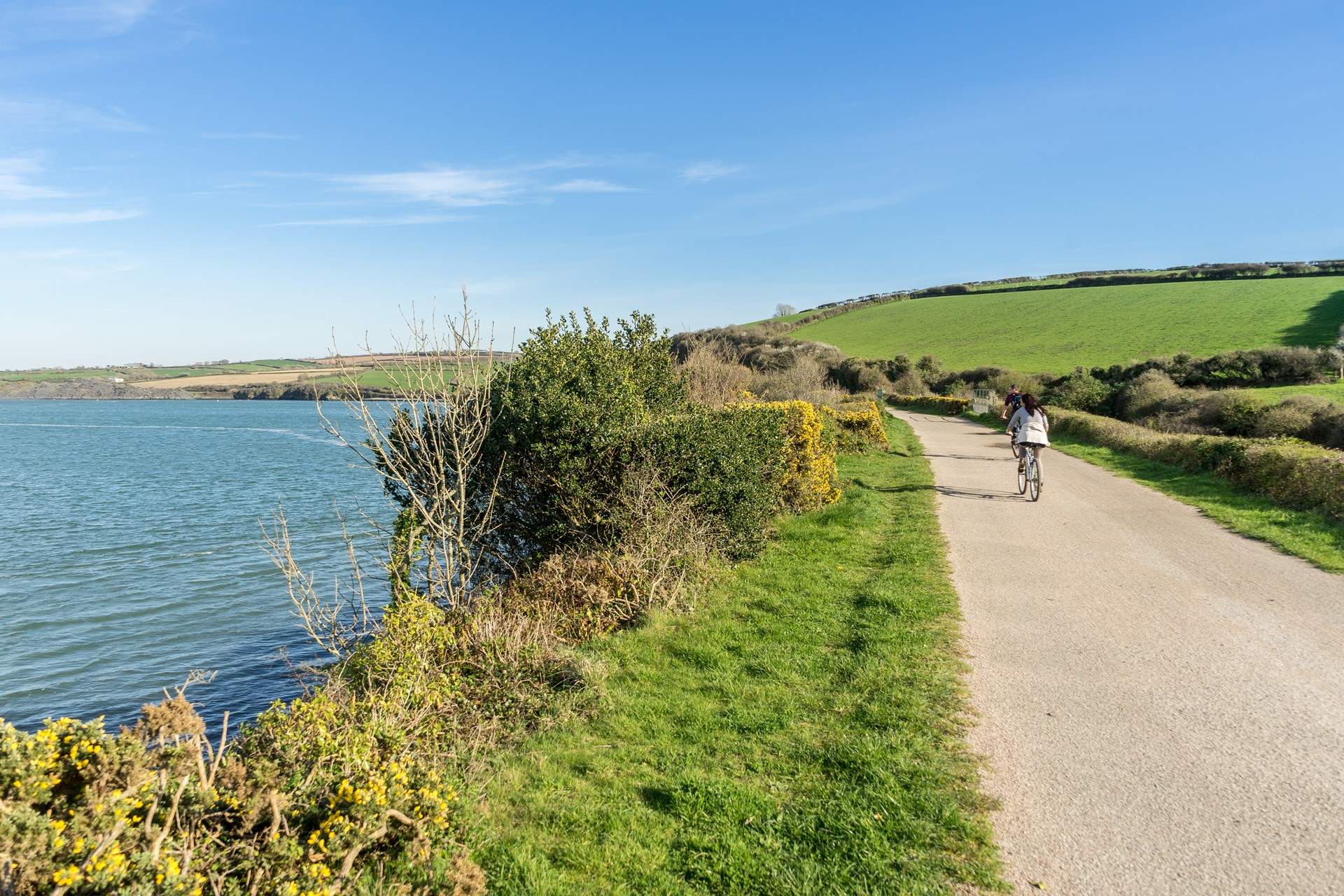 Hire a bike and cycle along the Camel Estuary towards Padstow. 