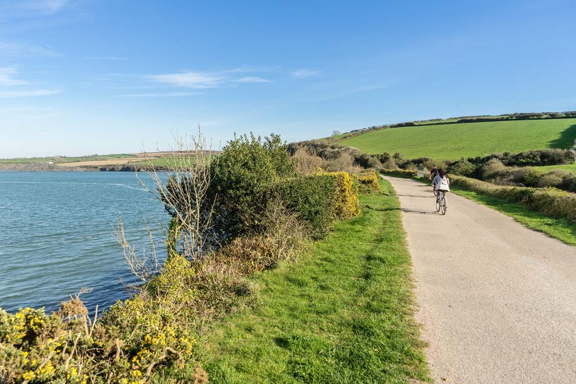 Hire a bike and cycle along the Camel Estuary towards Padstow.