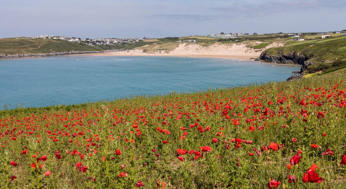 The north coast has some lovely beaches to explore.