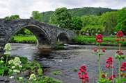 Picture-perfect Llanrwst is well worth a visit. 