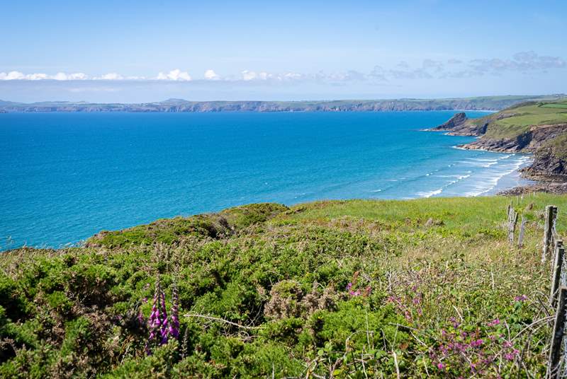 The magnificent view from the coast path above Nolton beach and along the Pembrokeshire coast. 