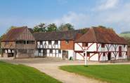 Visit The Weald and Downland Living Museum.