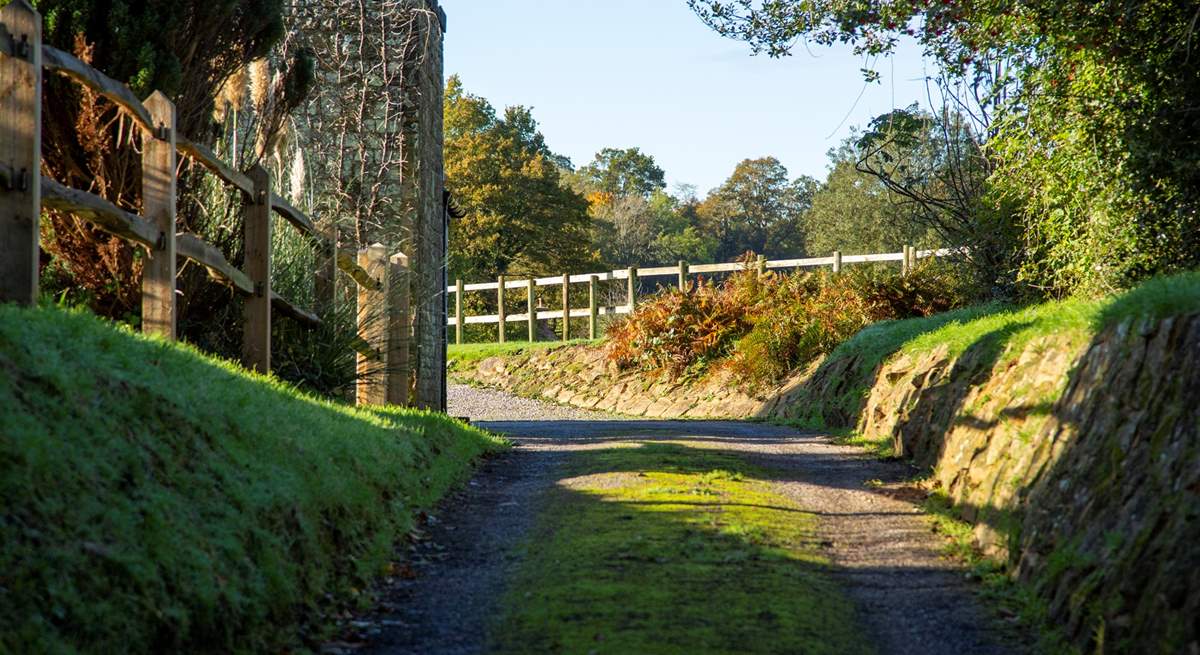 The drive leading to the cottage.