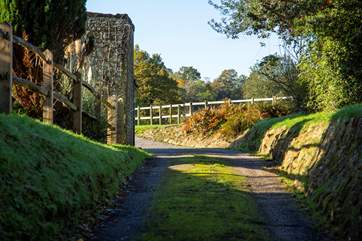 The drive leading to the cottage.