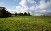 Lots of lovely walks to enjoy around the Cowdray Estate. - Thumbnail Image