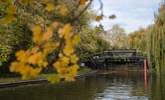 Who can resist the tranquility of Stratford's serene river walk. - Thumbnail Image