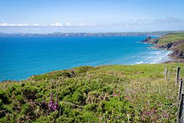 Explore the magnificent Pembrokeshire Coast Path.