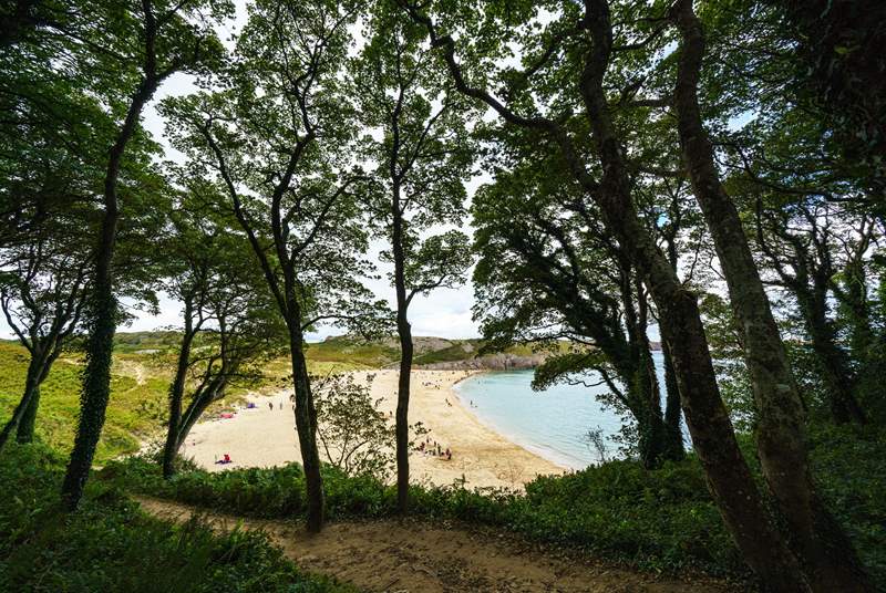 Beautiful Barafundle, an award-winning picture-postcard beach. 