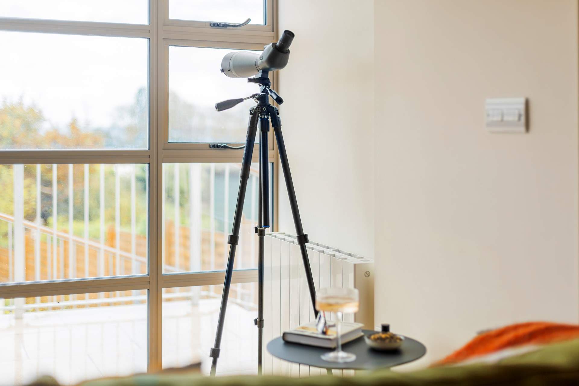 Catch all the activity passing by in the shipping lanes along with the migrating birds.