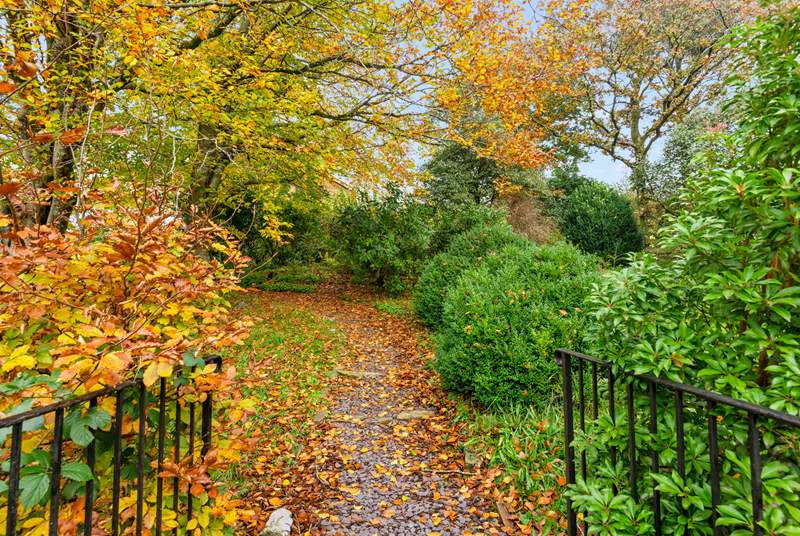 The pathway leading to your front door is rather colorful in autumn. How beautiful!