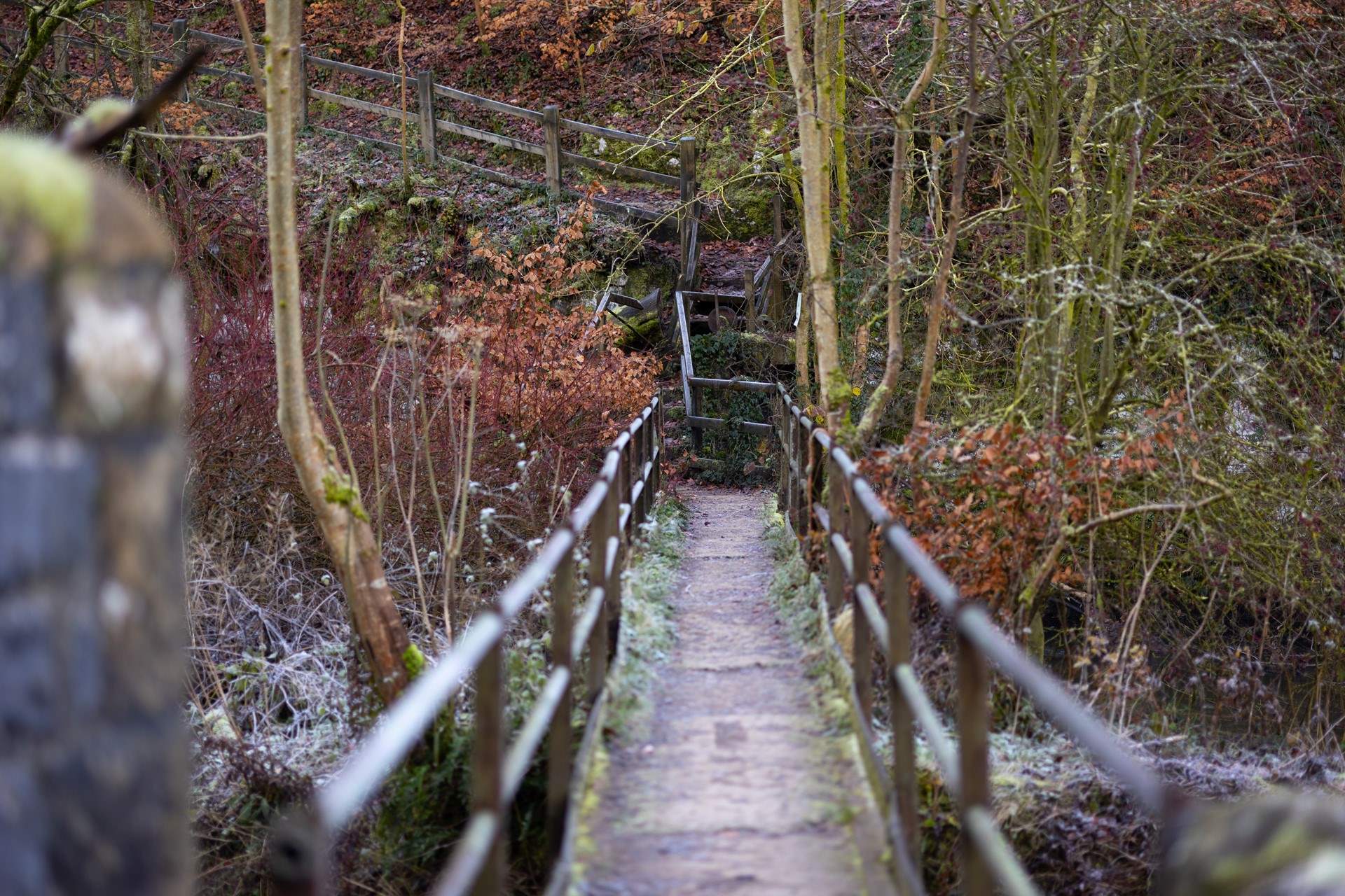 Take a walk over the bridge...