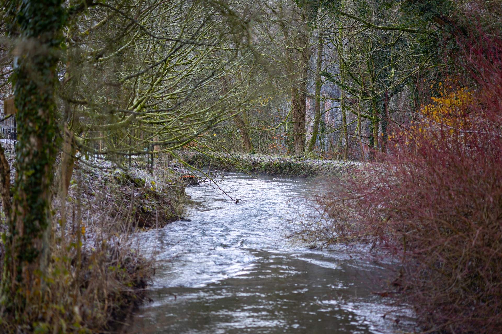 Enjoy staying by the water.