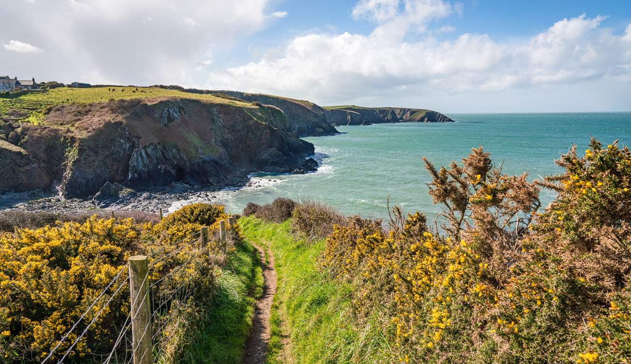 Follow the Pembrokeshire Coast Path to discover long stretches of sandy beaches and craggy coves, pretty seaside villages  and picturesque harbours.