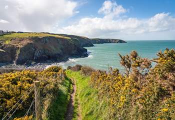 Follow the Pembrokeshire Coast Path to discover long stretches of sandy beaches and craggy coves, pretty seaside villages  and picturesque harbours.