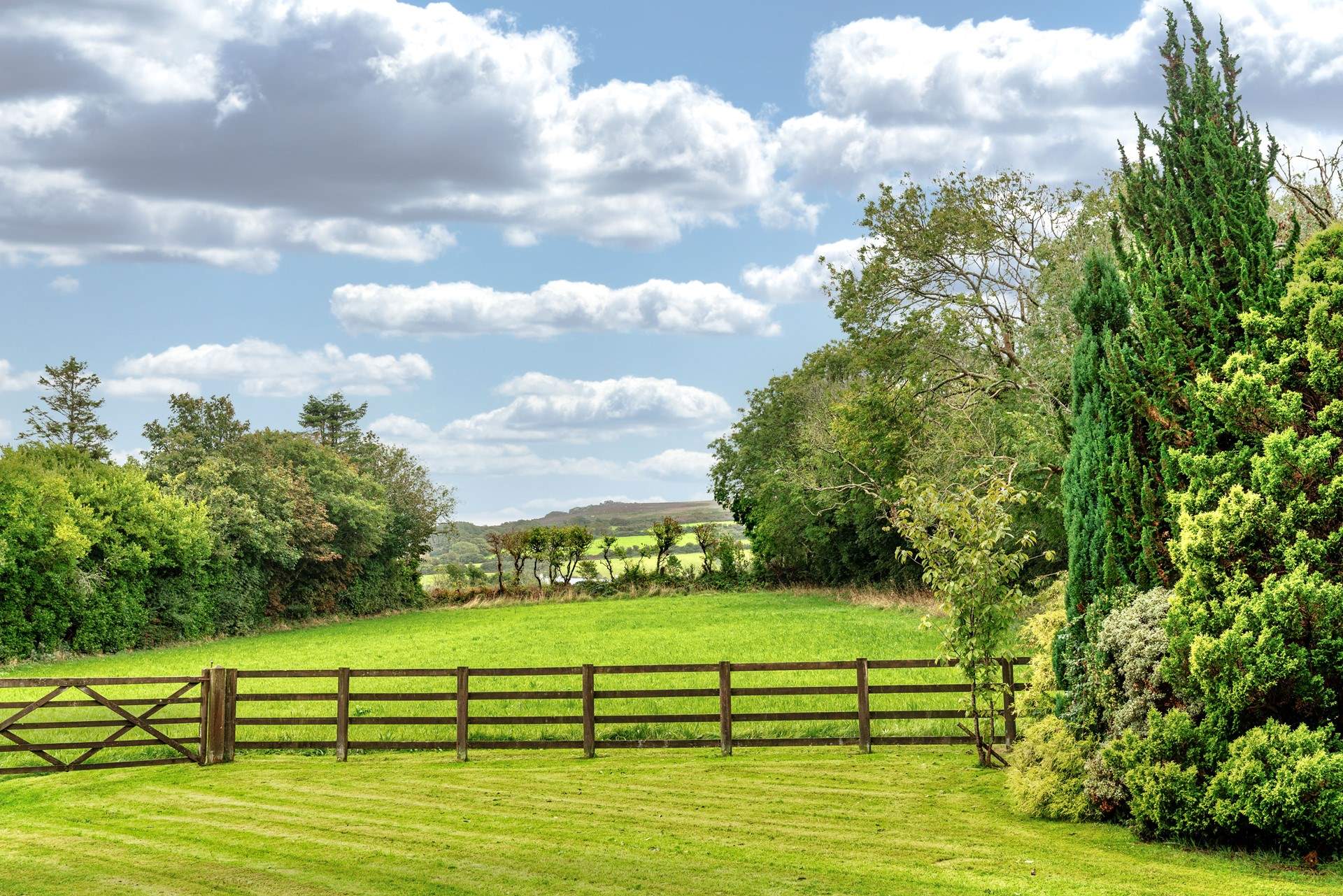 Spend time in the vast grounds with the dogs and the children - they will love it here.