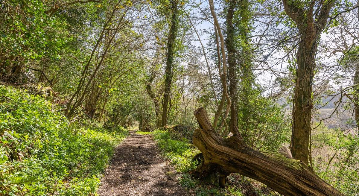 Numerous woodland walks can be found right on your doorstep.