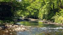 One of the many spectacular sights you will enjoy when exploring Dartmoor.