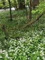 This pretty river walk is nearby and is a private walk belonging to the grounds of Rydon.