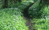 Such a beautiful spot for a walk and on your doorstep too! - Thumbnail Image