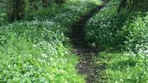 Such a beautiful spot for a walk and on your doorstep too!