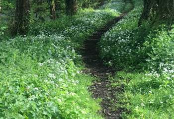 Such a beautiful spot for a walk and on your doorstep too!