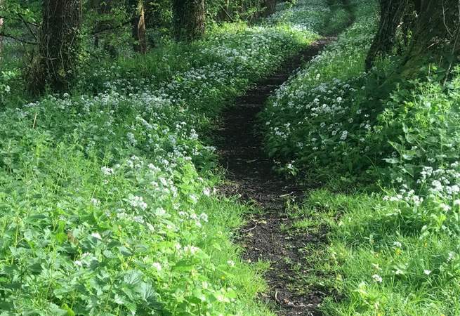 Such a beautiful spot for a walk and on your doorstep too!
