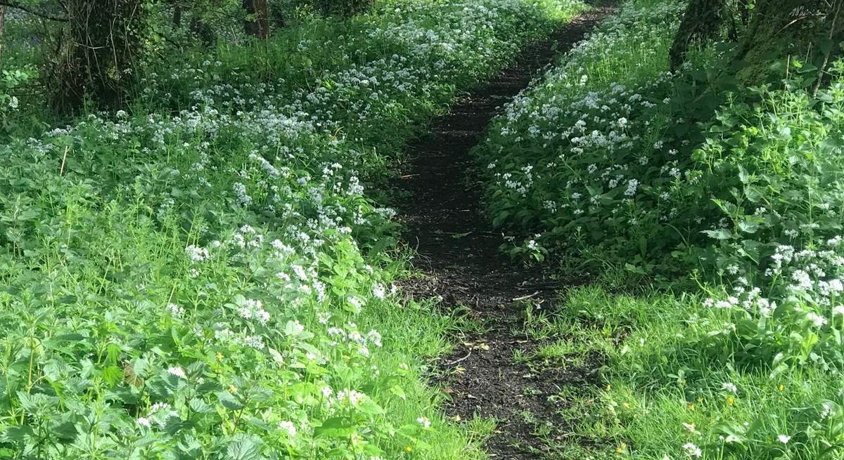 Such a beautiful spot for a walk and on your doorstep too!