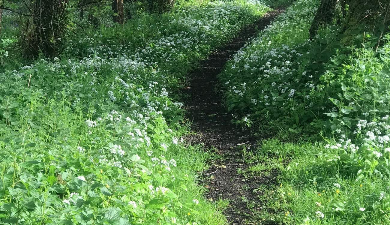 Such a beautiful spot for a walk and on your doorstep too!