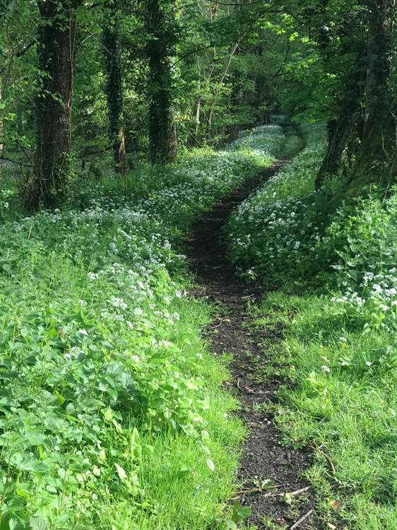 Such a beautiful spot for a walk and on your doorstep too!