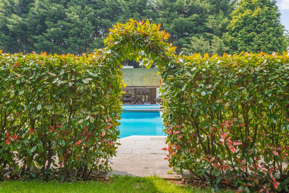 Step through the hedge to your privately enclosed swimming pool area.